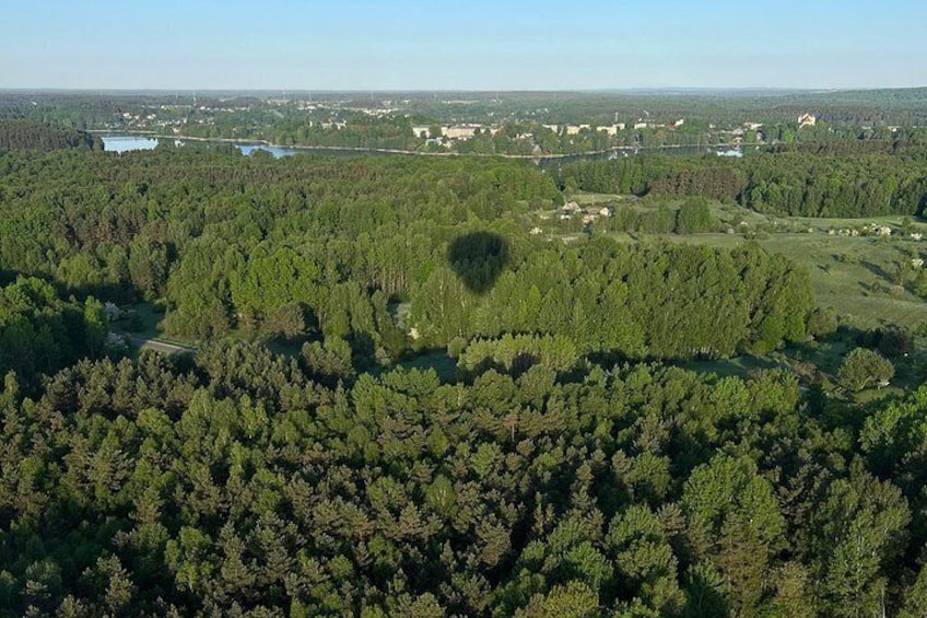 A dense forest with a lake and scattered buildings in the distance. 5