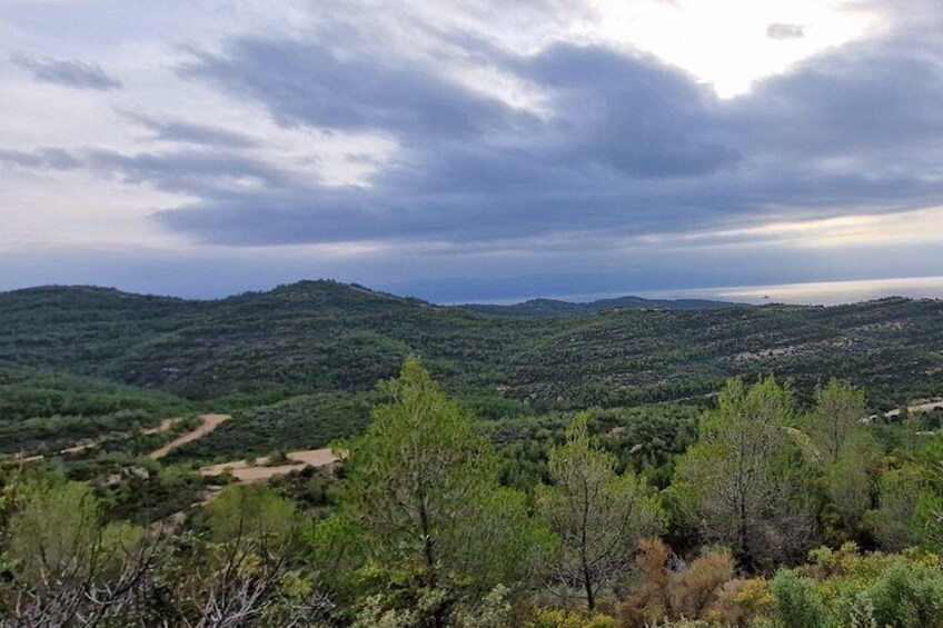 A mountainous landscape with dense vegetation and a cloudy sky. 5