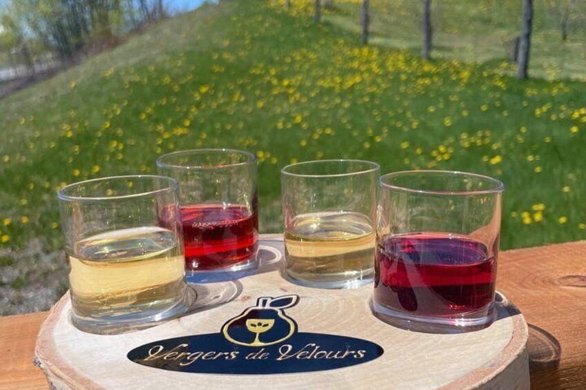 Fyra glas vin står på en träunderlägg med en logotyp, placerade framför en bakgrund bestående av en gräsklädd äng med gula blommor. 2