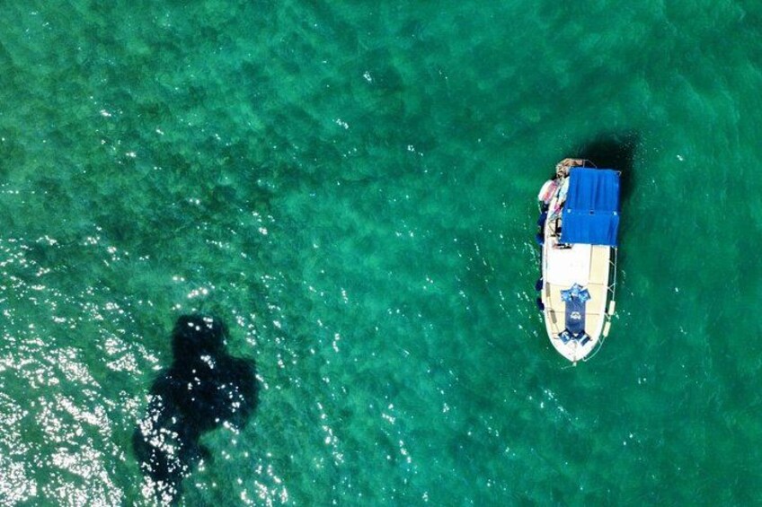 Boat party and relaxation in the Gulf of Poets 3