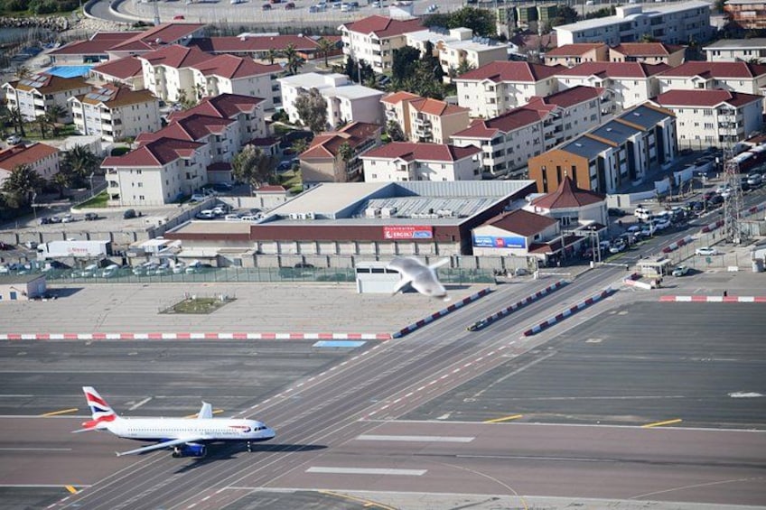 Een vliegtuig op een landingsbaan met gebouwen en een terminal op de achtergrond. 3