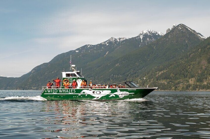 Een boot met de naam 'Wild Whales' op een meer, met bergen op de achtergrond. 1