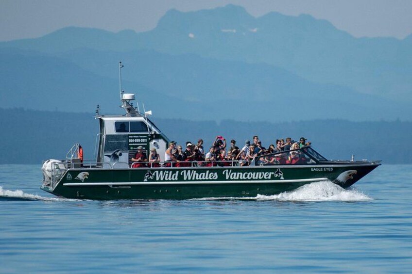 Wild Whale Watching Experience - Open Air Vessel 4