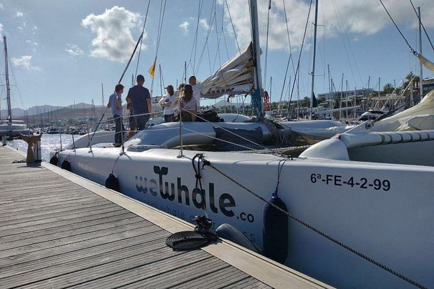 Small Group Dolphin Sunset Tour on Electric Catamaran Lanzarote 3