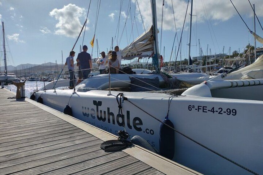 Small Group Dolphin Sunset Tour on Electric Catamaran Lanzarote 2