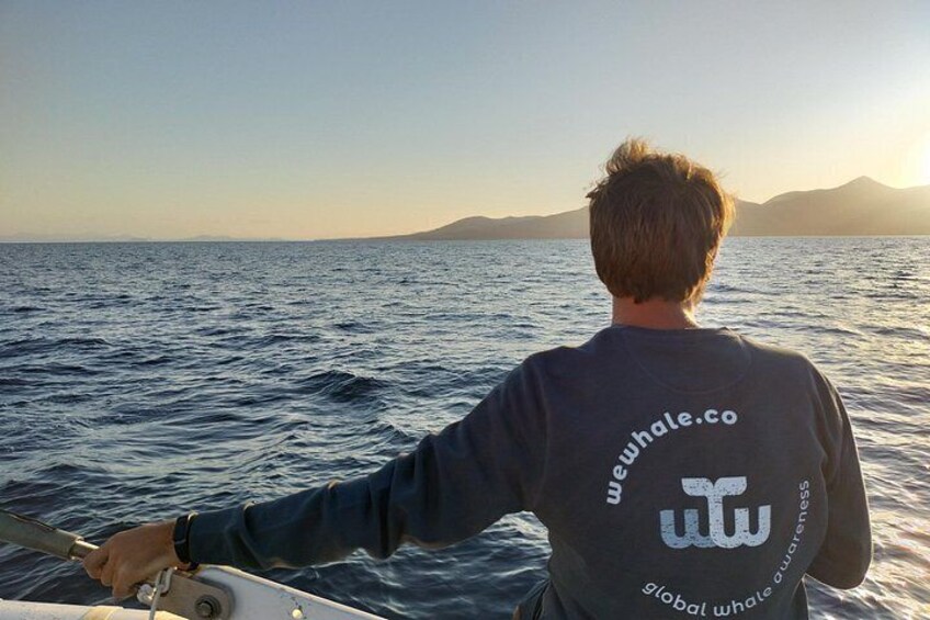 Small Group Dolphin Sunset Tour on Electric Catamaran Lanzarote 4