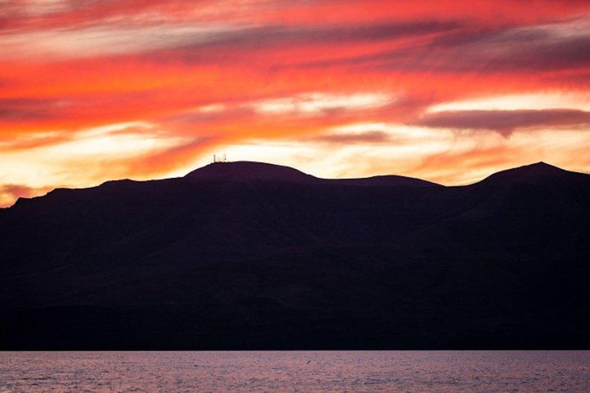 Small Group Dolphin Sunset Tour on Electric Catamaran Lanzarote 4