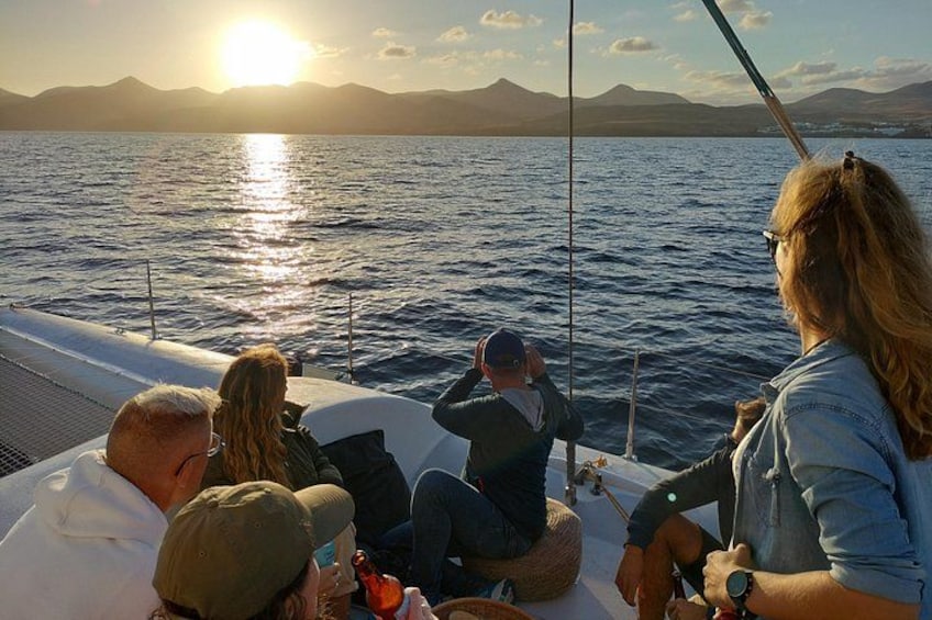 Small Group Dolphin Sunset Tour on Electric Catamaran Lanzarote 5
