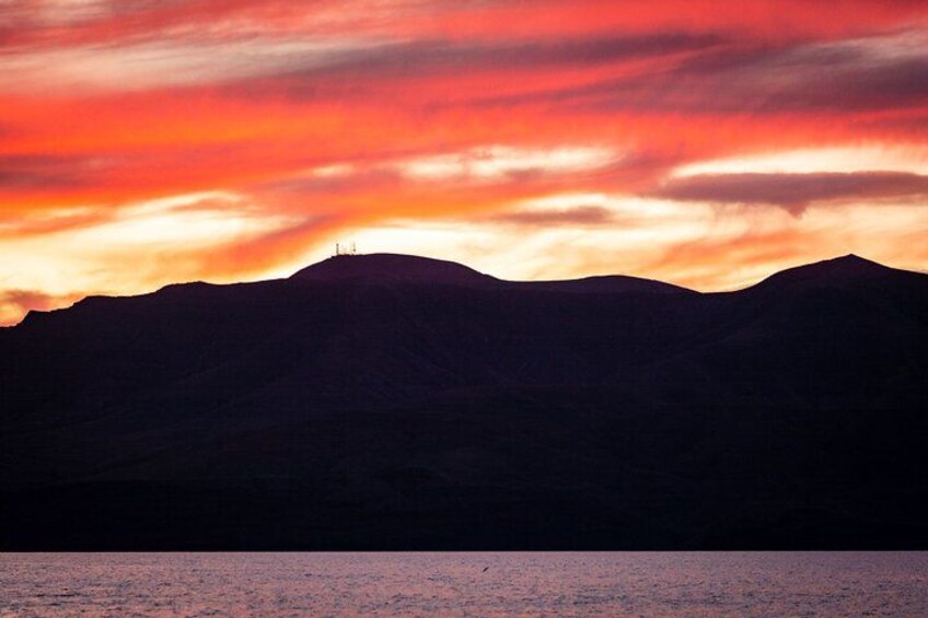 Small Group Dolphin Sunset Tour on Electric Catamaran Lanzarote 4