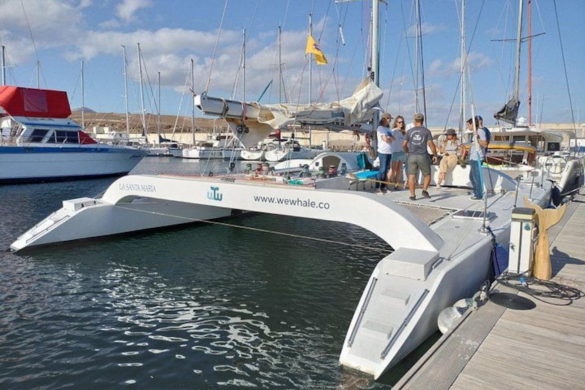 Small Group Dolphin Sunset Tour on Electric Catamaran Lanzarote 2