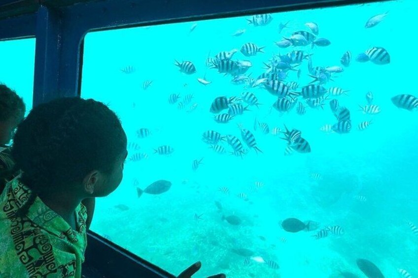 A person observing fish through a window. 1
