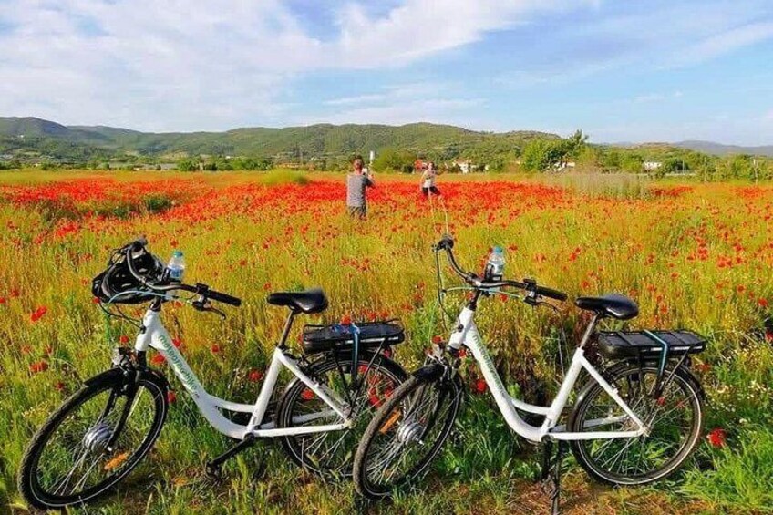 Two bicycles parked in a field of red flowers with a person in the background. 5