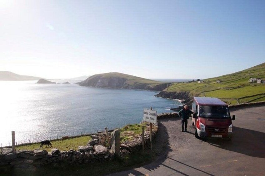 Half Day Private Tour to Dingle Peninsula and Slea Head 3