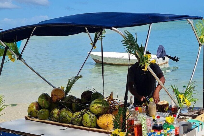 Snorkel with Dolphins, Lunch on Benitiers island, Speedboat 2
