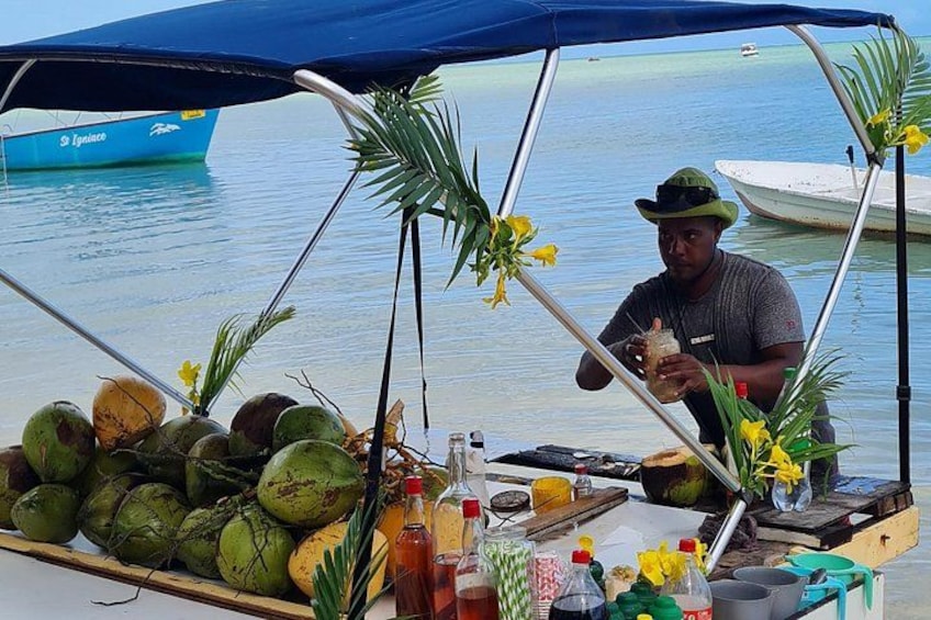 Snorkel with Dolphins, Lunch on Benitiers island, Speedboat 4