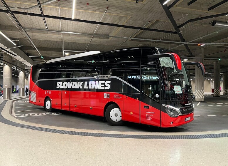 Picture 3 for Activity From Bratislava/Vienna: Fast and Comfortable Bus Transfers 2