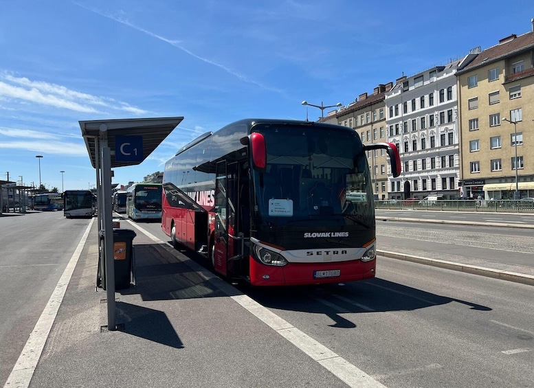 Picture 2 for Activity From Bratislava/Vienna: Fast and Comfortable Bus Transfers 3