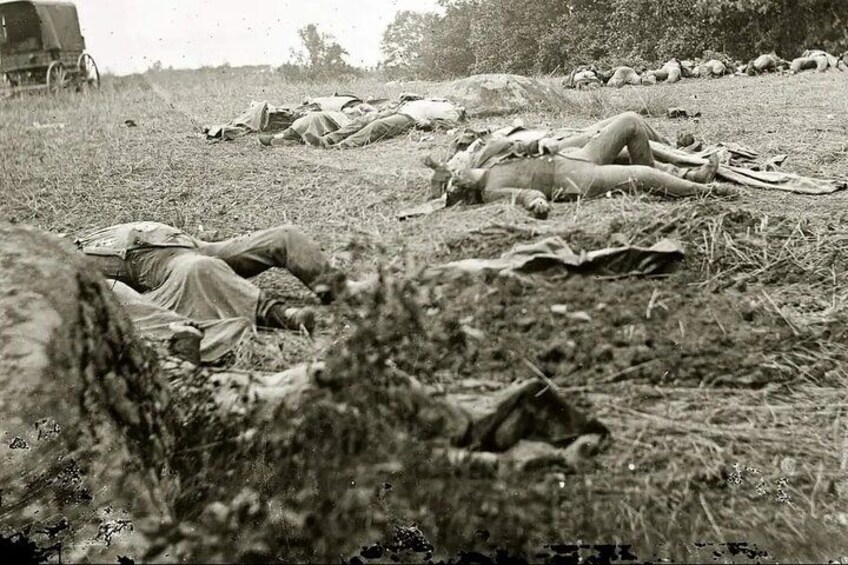 Blood on the Battlefield Ages 16+ 3
