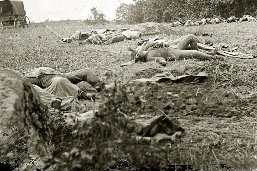 Blood on the Battlefield Ages 16+ 2