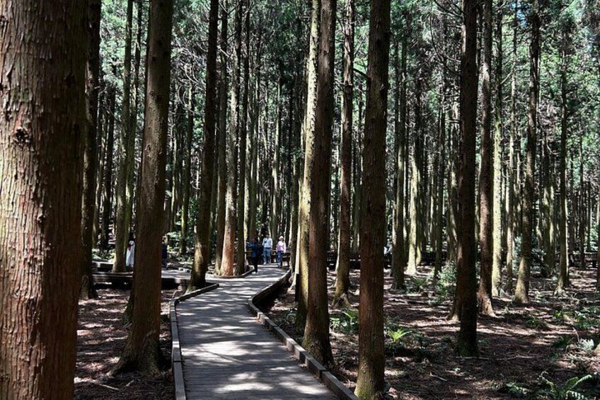 UNESCO Natural Heritage Private Tour by a Certificated Guide 2