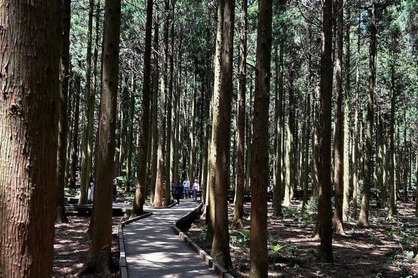 UNESCO Natural Heritage Private Tour by a Certificated Guide 3