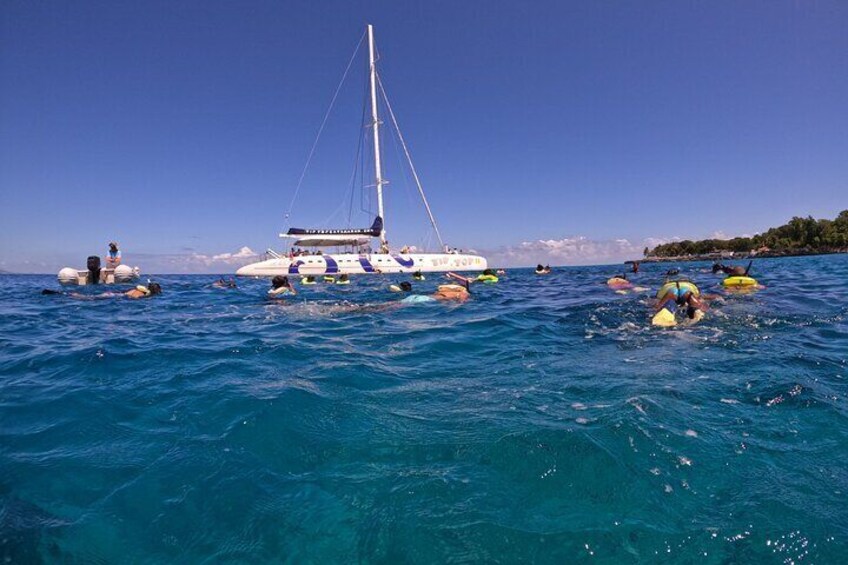 Sailing Catamaran Excursion