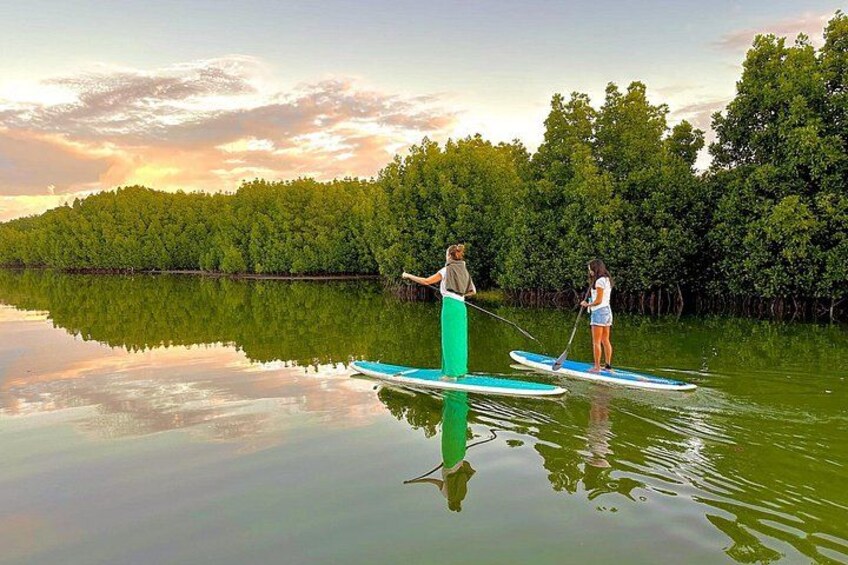 Deux personnes pratiquent le paddle sur une étendue d’eau calme, avec une côte boisée en arrière-plan. 1