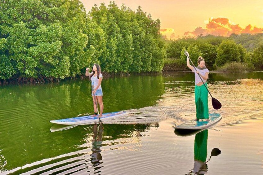 Deux personnes pratiquent le paddle sur une rivière paisible, entourée d’une végétation luxuriante. 2