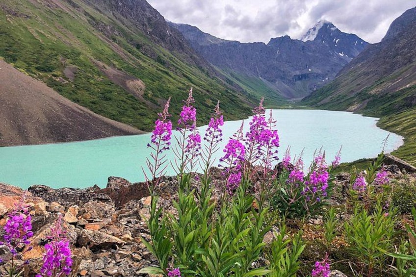 A mountain lake with purple flowers in the foreground. 2