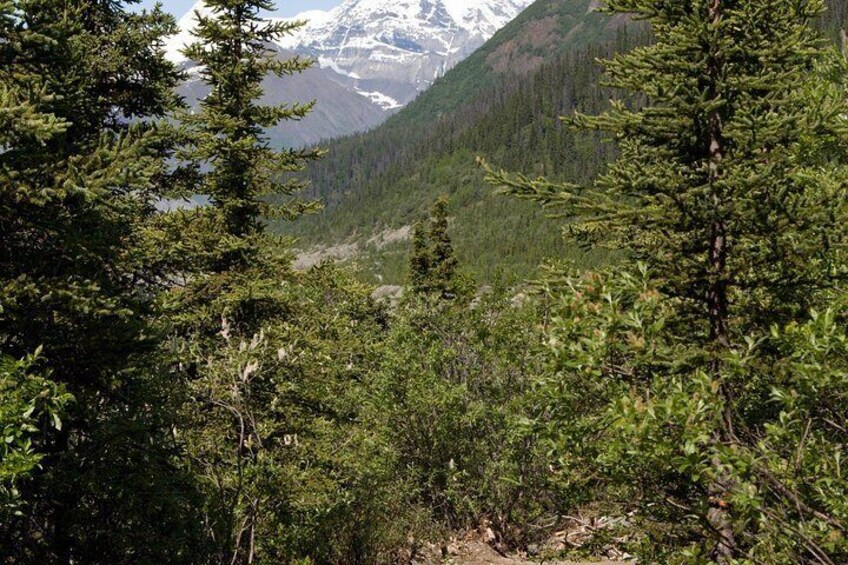 Hike Chugach State Park