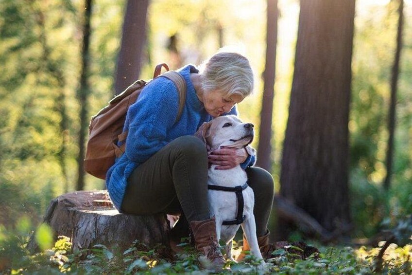 A person sitting on a tree stump in a forest, hugging a white dog. 4