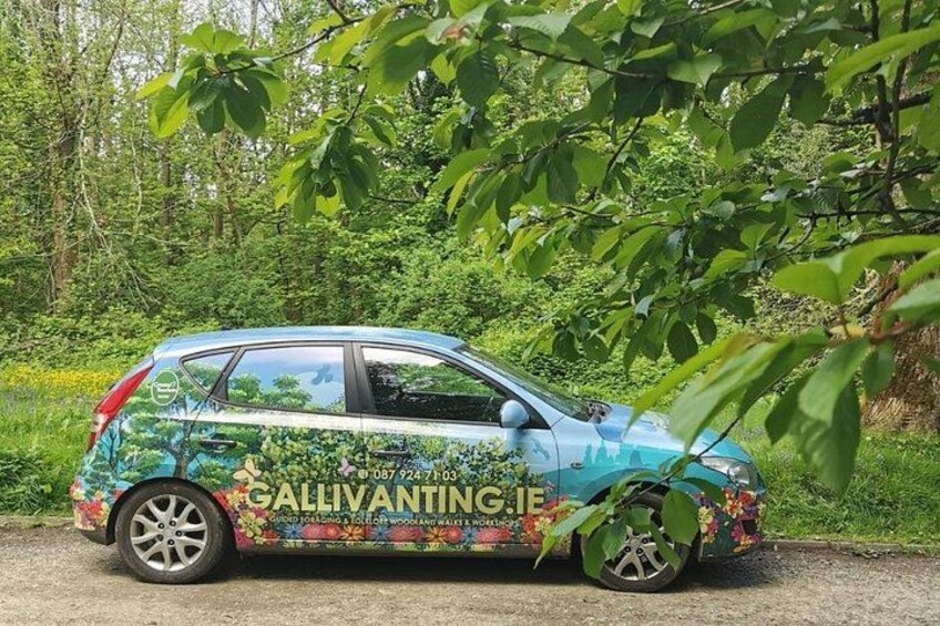 A car parked on a roadside with a colorful advertisement on its side. 5