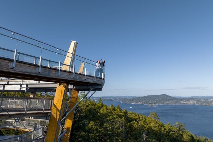 A pedestrian bridge with glass railings overlooking a body of water and distant land. 4