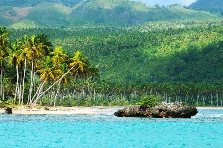 A tropical beach with palm trees, a rocky outcrop, and a forested hillside. 4