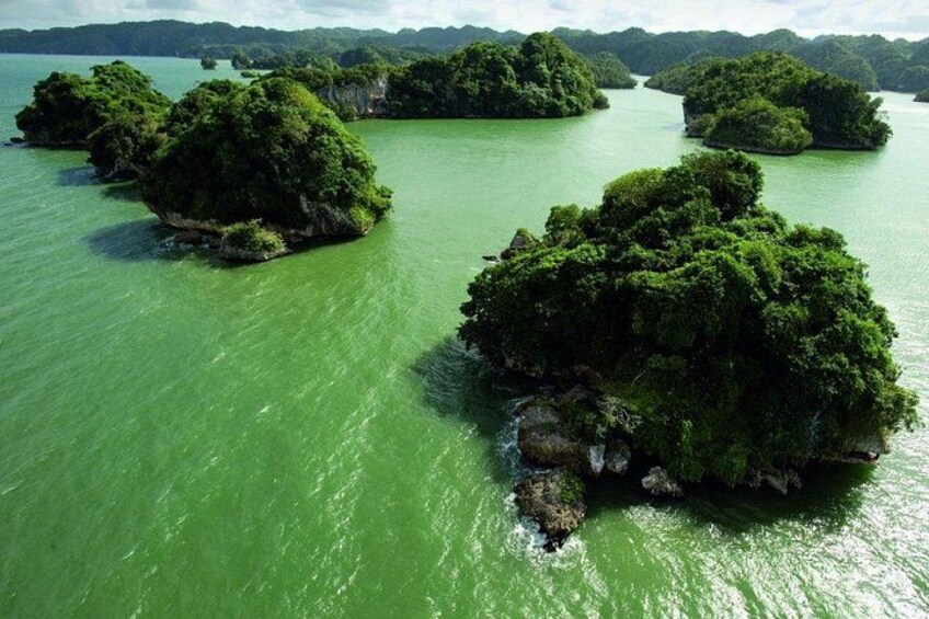 A group of lush, green islands surrounded by turquoise water. 5