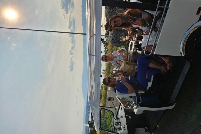 Immersion in the Geneva vineyards by tuktuk with tasting 2