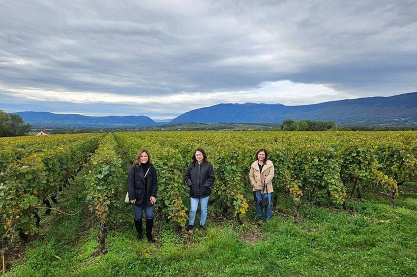 Three people standing in a vineyard with rows of grapevines and a mountainous landscape in the background. 4