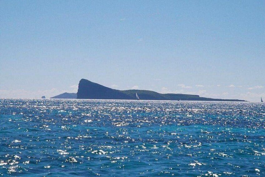 3 North Islands Catamaran Cruise with Lunch & Drinks on island. 4