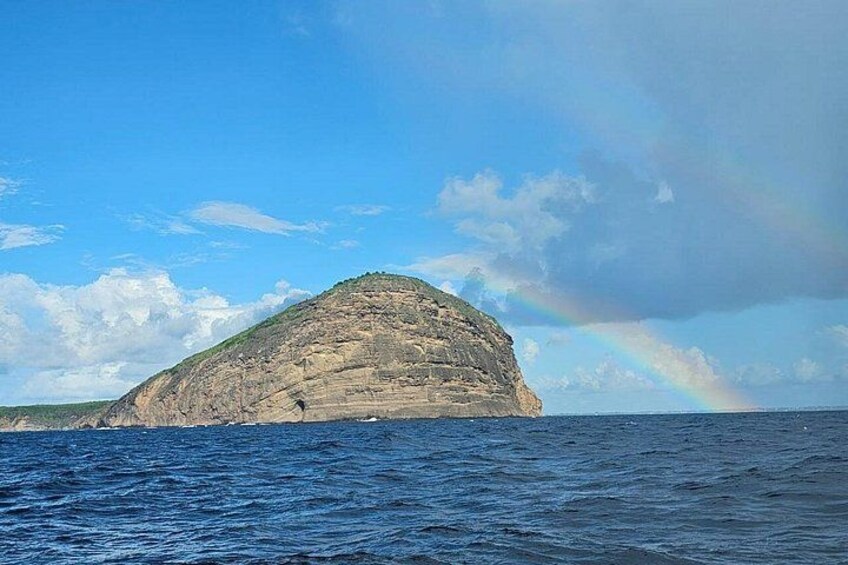 3 North Islands Catamaran Cruise with Lunch & Drinks on island. 3