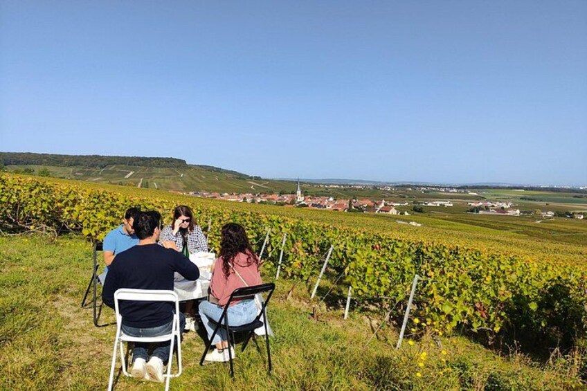 Een groep mensen zit buiten aan een tafel, met uitzicht op een wijngaard met rijen druivenstokken en een stad in de verte. 5