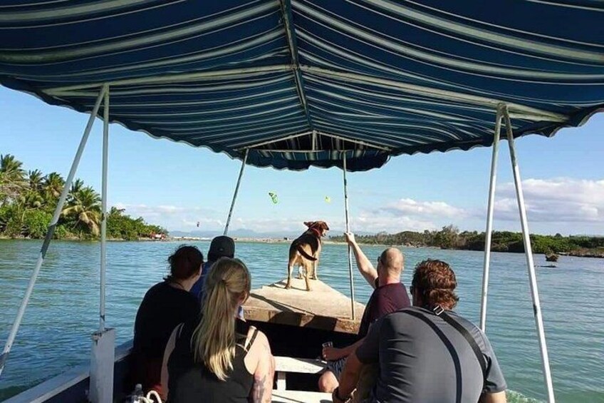 Un bateau avec un auvent rayé, des personnes assises et un chien sur une plateforme. 2