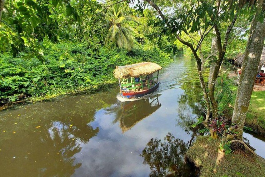 Une rivière avec un bateau et une végétation luxuriante. 1