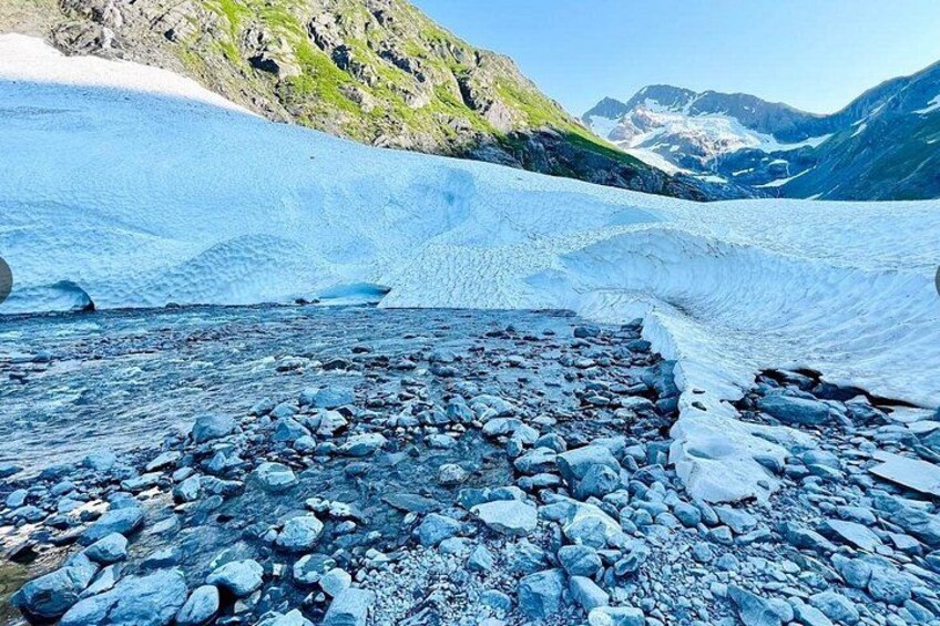 Glacier View & Wildlife Anchorage Adventure Tour 4