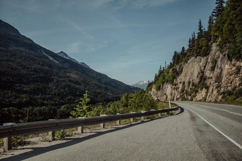 Anchorage to Seward Cruise Transfer & Wildlife Tour 3