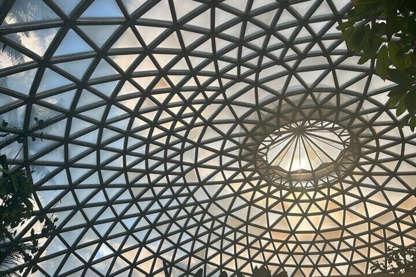 Inside the dome at Mt Cootha Botanical Gardens