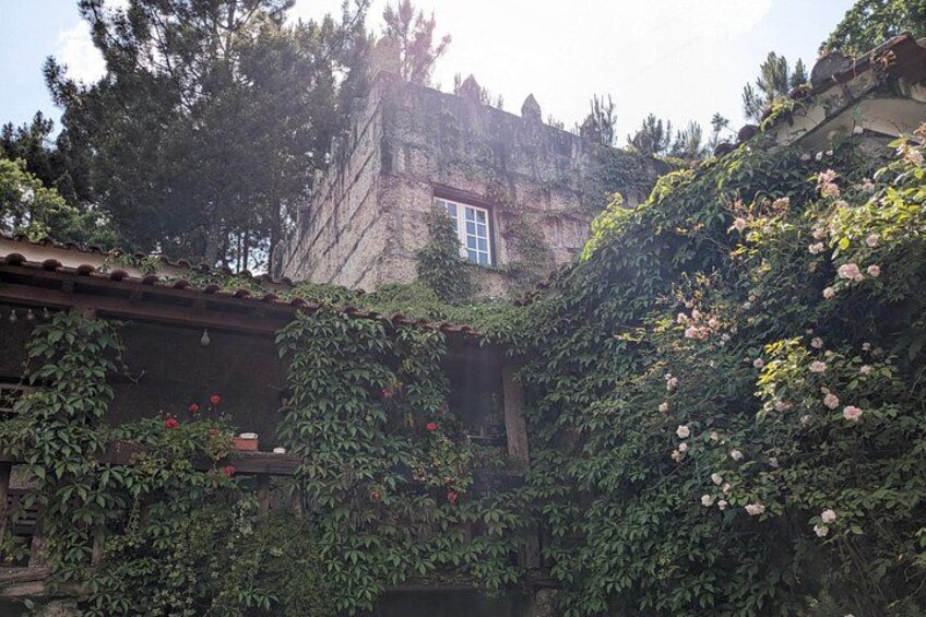 Traditional Cooking Class, Farm Tour & Lunch in the Douro Valley 4