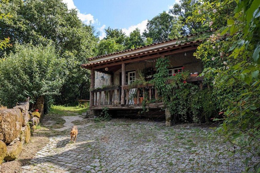 Traditional Cooking Class, Farm Tour & Lunch in the Douro Valley 2