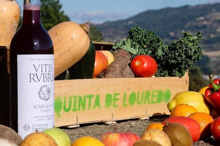 Traditional Cooking Class, Farm Tour & Lunch in the Douro Valley 1