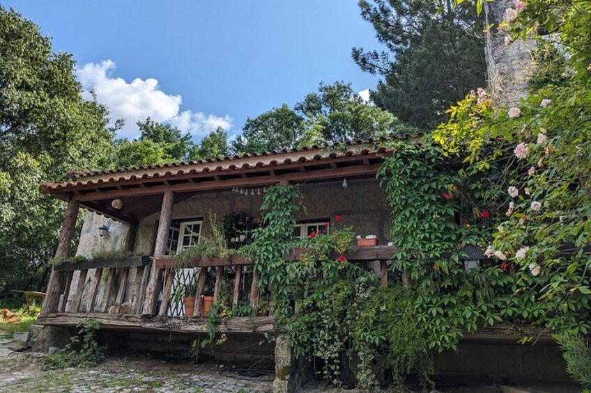 Traditional Cooking Class, Farm Tour & Lunch in the Douro Valley 3