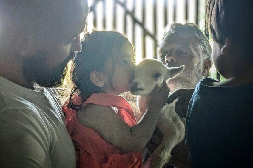 A group of people, including children, interacting with a small dog. 5
